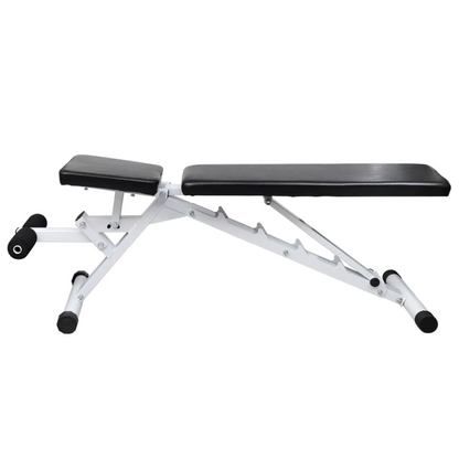 workout bench with weights