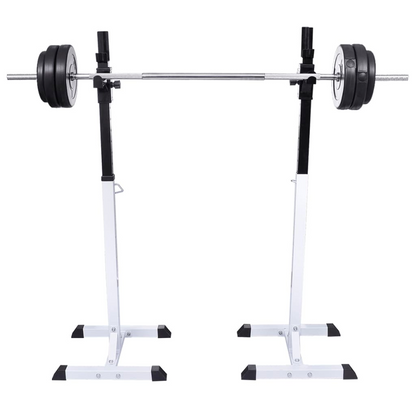 vidaXL Barbell Squat Rack with Barbell and Dumbbell Set 30.5 kg