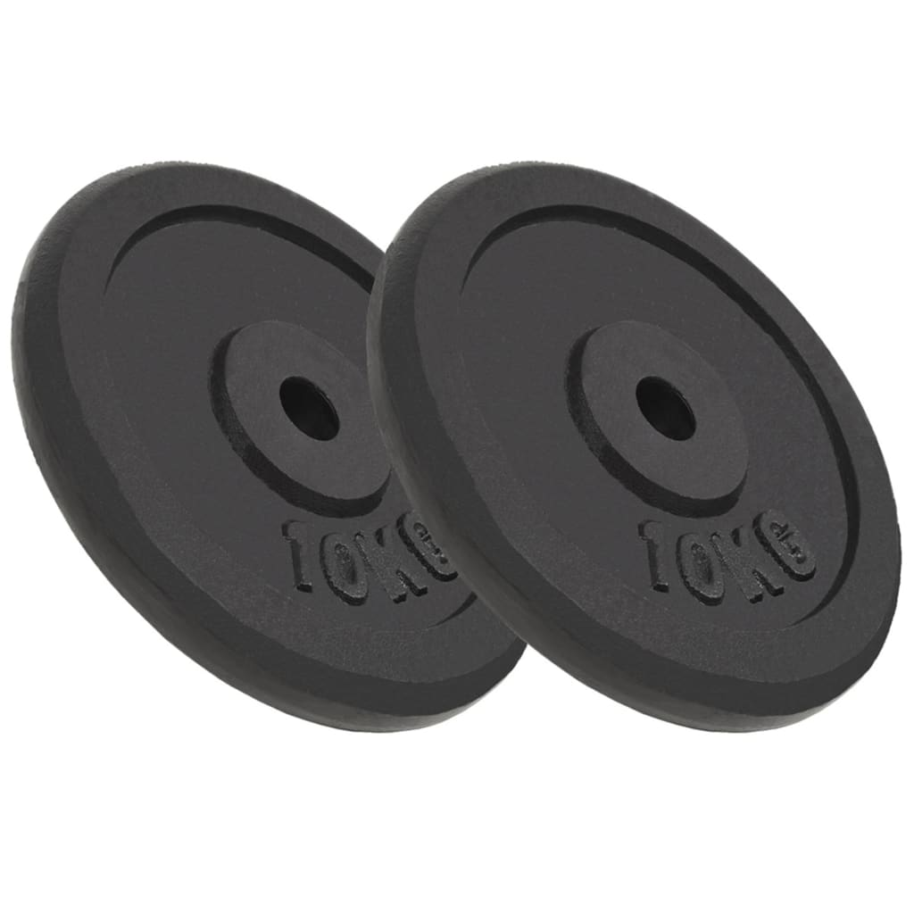 10 kg Weight Plates