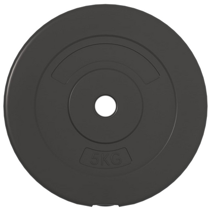 VidaXL 4 pcs 30 kg Weight Plates