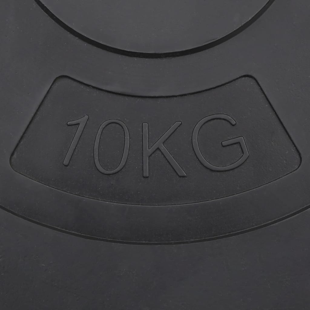 10 kg Weight Plates