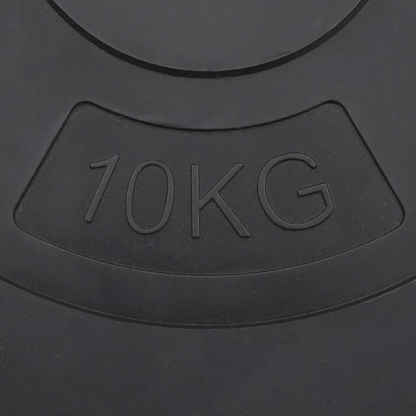 10 kg Weight Plates