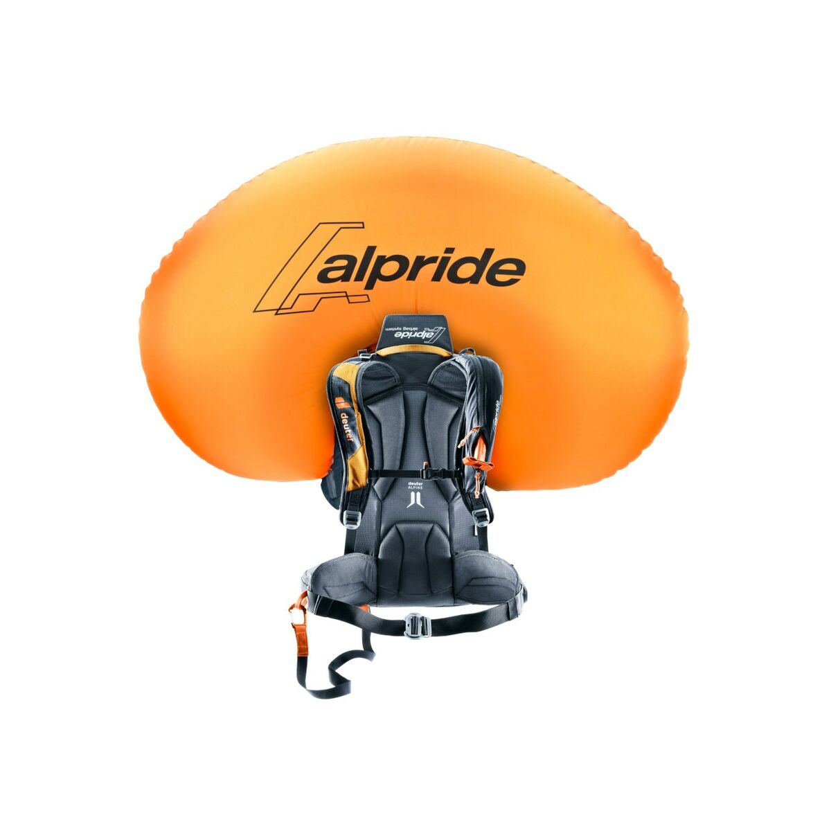 V6HC9BFAE1A3E1E8D3DE5BA2207A355C115R6409587P3