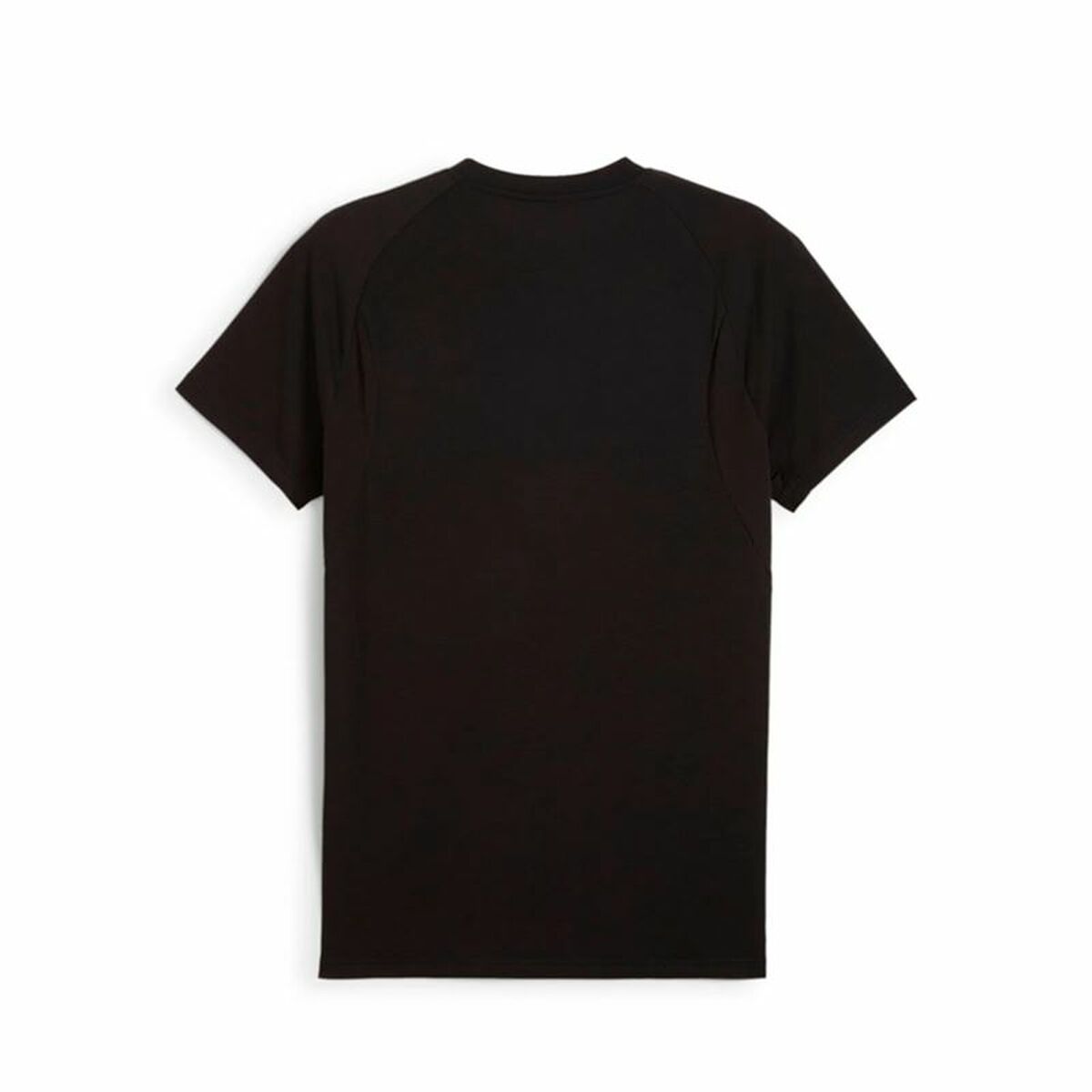 V3H193E96B1538FB459D00E57ED09A786AFR5679974P2