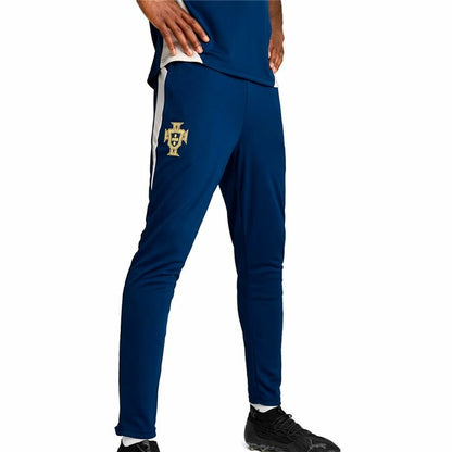 V6HD94A5399860858F8A430BD3D357BCF0DR6636676P1