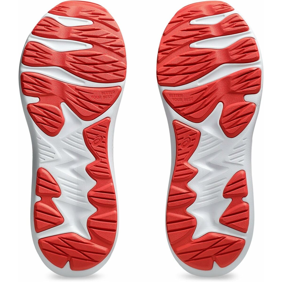 V3H24EE98FFC1794FF6141F866CD016F0F5R5844137P3