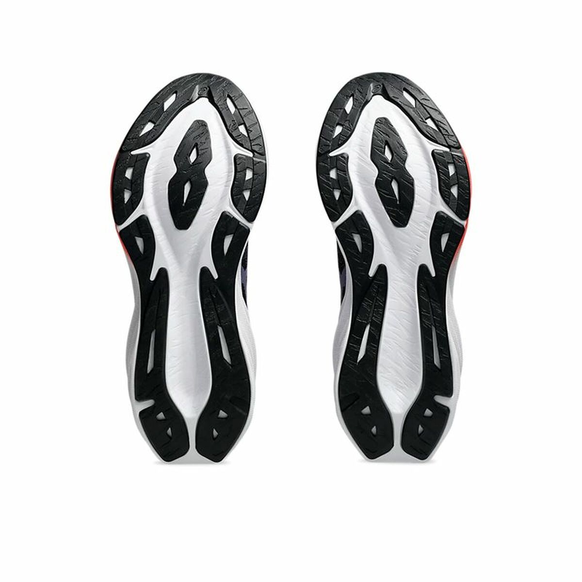 V4H69D26ED233BE565D263C8BE37E5098F9R6273474P3