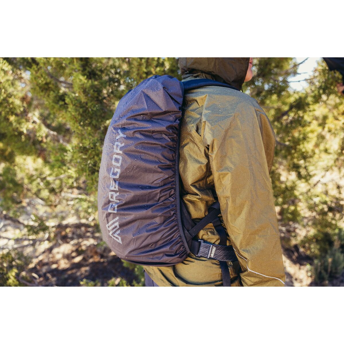 V5H1598FF63AB73A09DF44A6FA51C0DD011R6421010P8