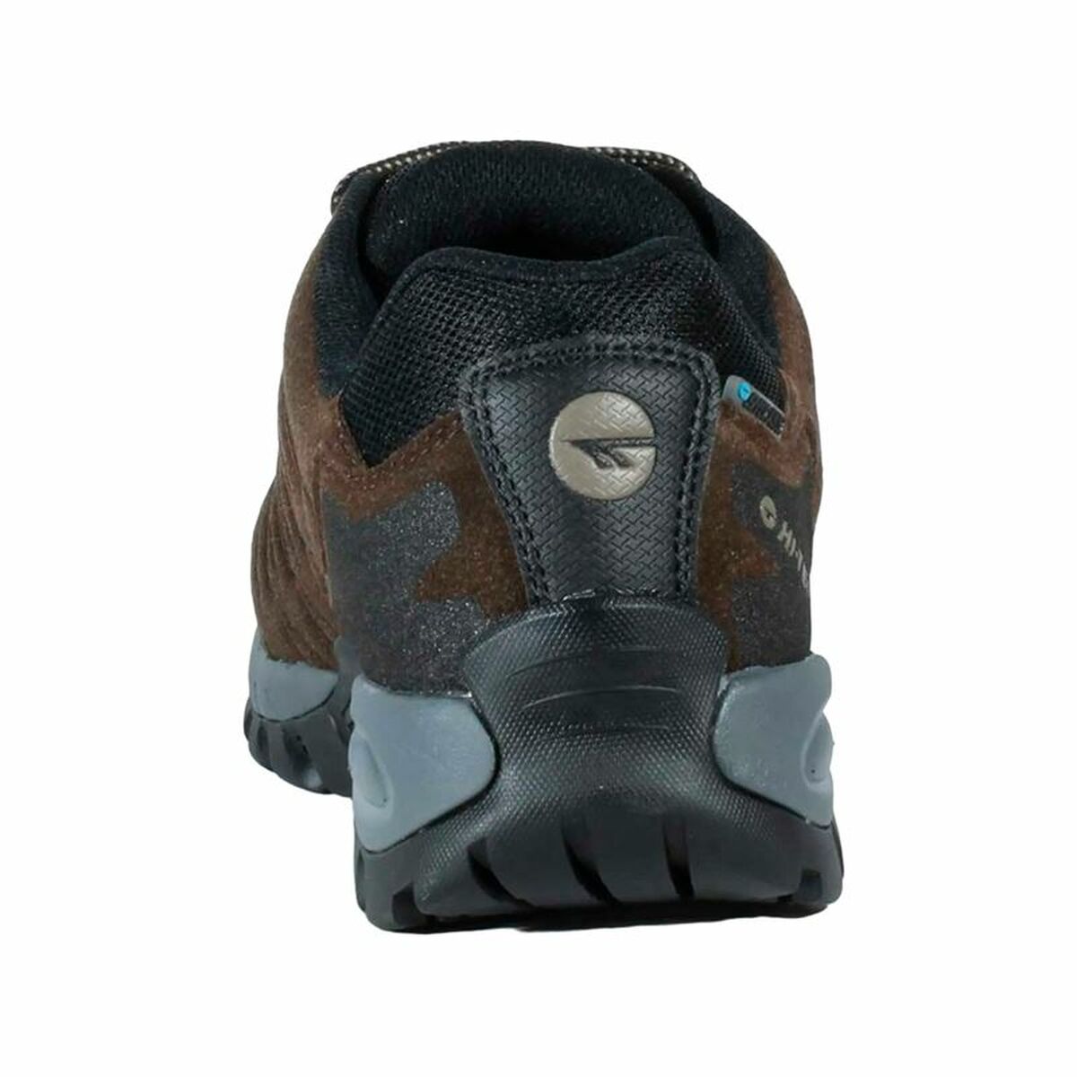 V4H31D7E3F17F41D5451066C690E6817D1ER5444706P4