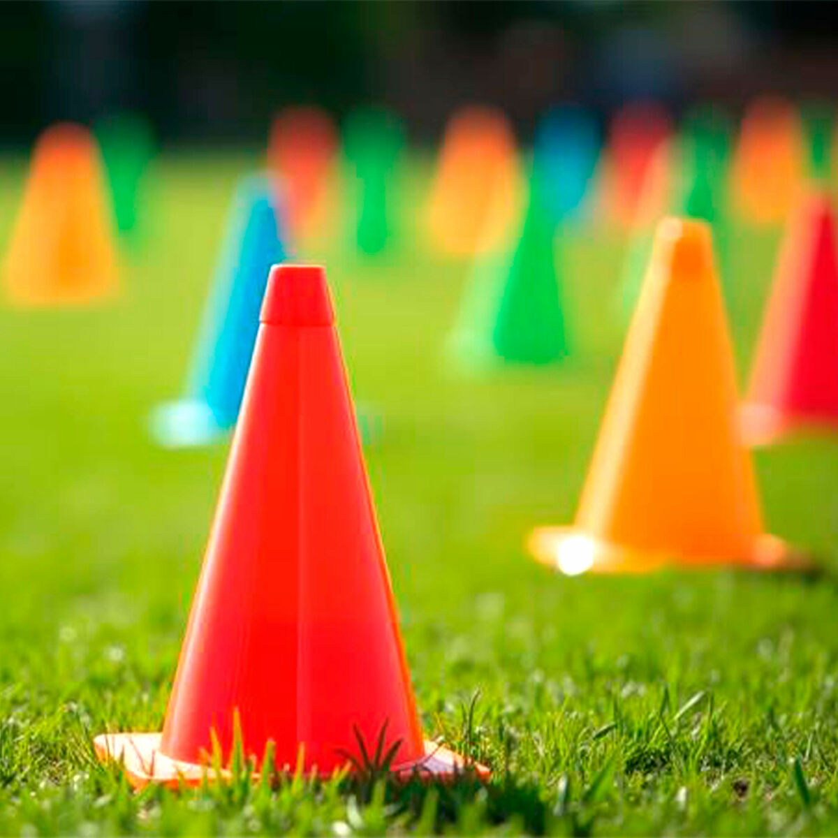 V2H1013395F4CC6B2E3C0DD28AF640E105CR7258787P4