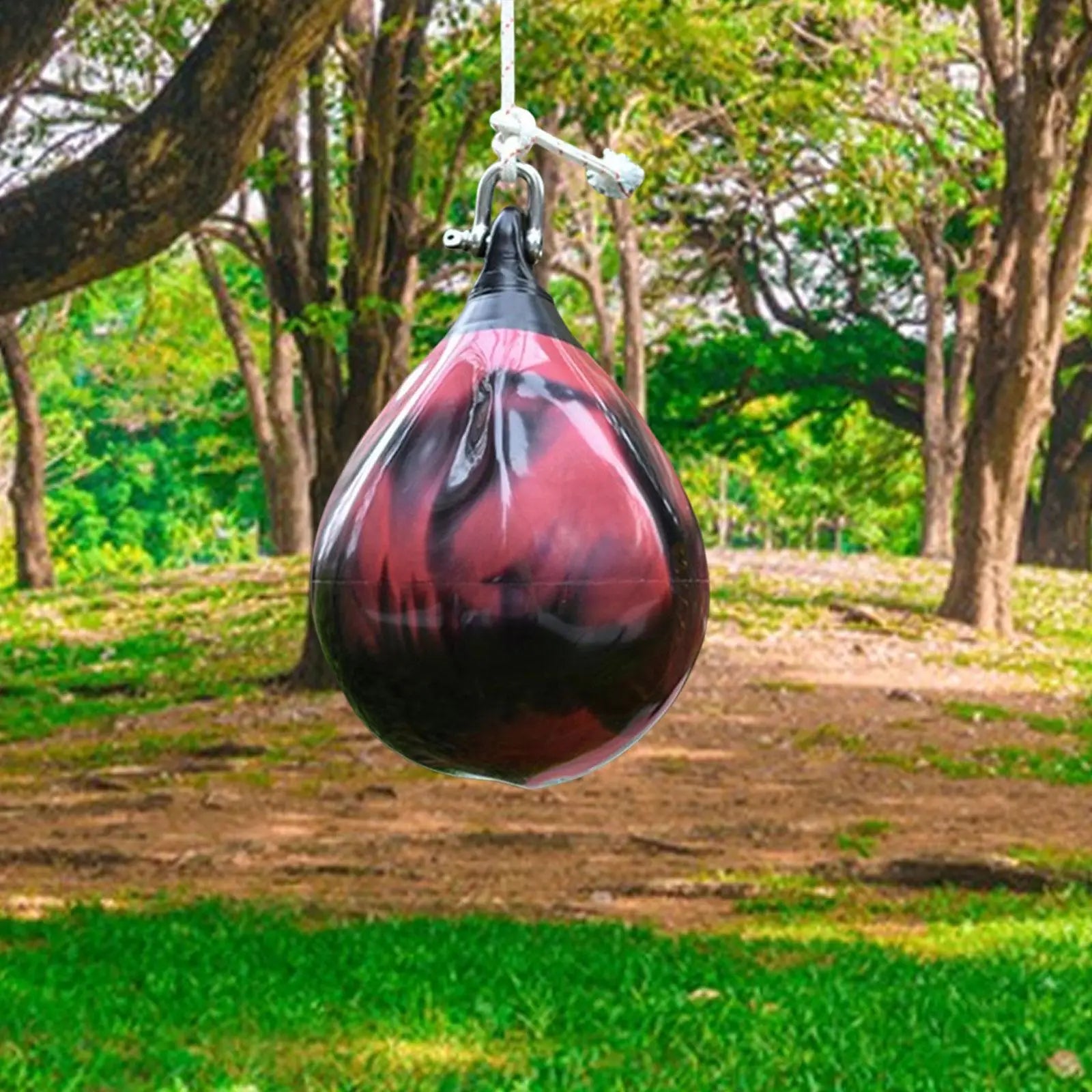 Speed Ball Punching Bag