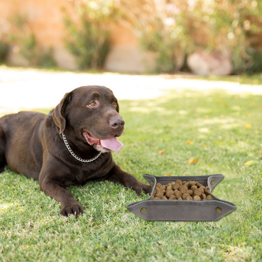  Pet Food Bowl